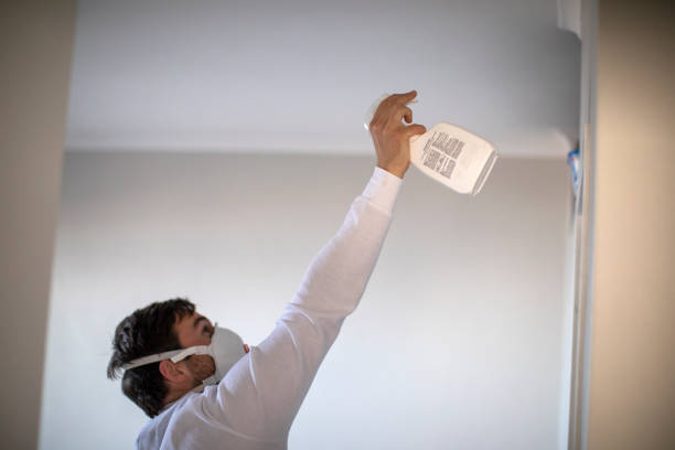 Certified Mold Removal in Long Beach, IN