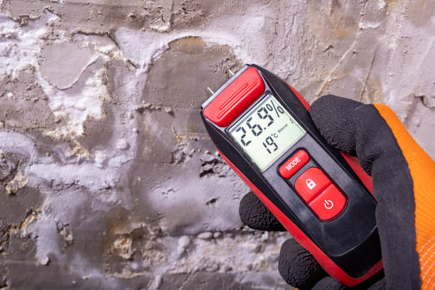 Best Fast Mold Removal  in Long Beach, IN