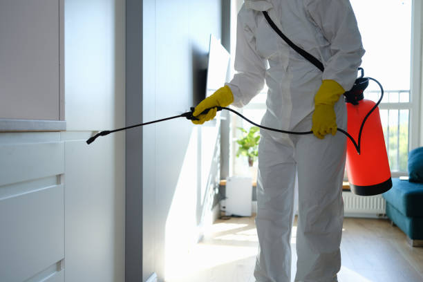 Best Toxic Mold Removal  in Long Beach, IN