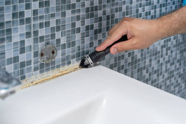 Best Mold Cleaning Services  in Long Beach, IN